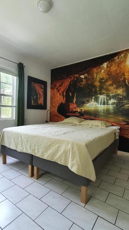 Apartment Greenflash Кралендижк Екстериор снимка